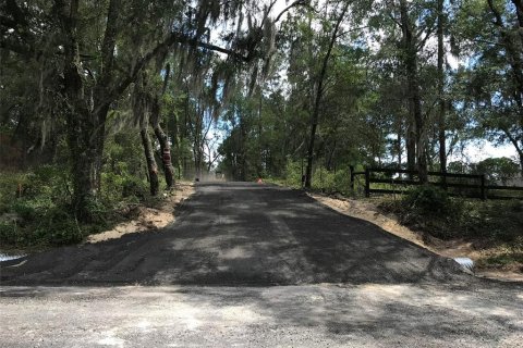 Land in Ocala, Florida № 1832792 - photo 10