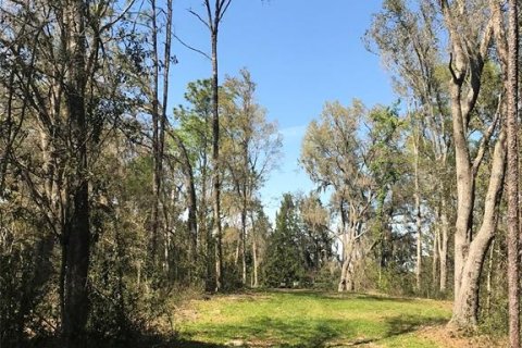 Land in Ocala, Florida № 1832792 - photo 15