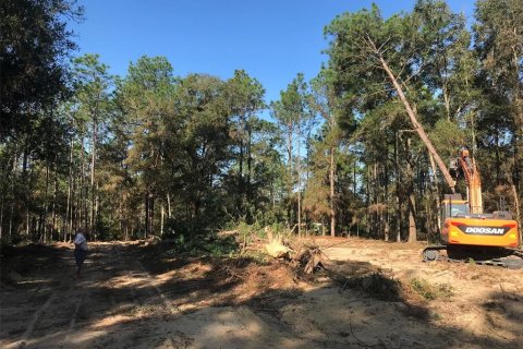 Land in Ocala, Florida № 1832792 - photo 20