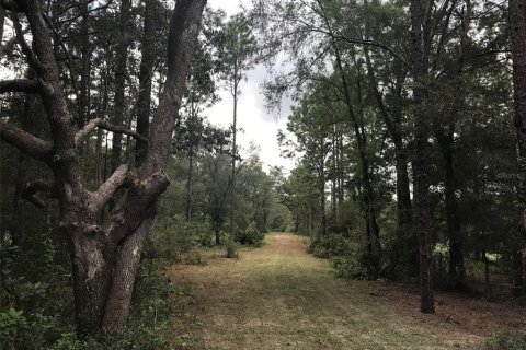 Land in Ocala, Florida № 1832792 - photo 13