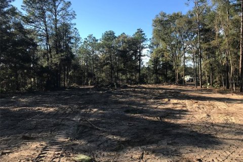 Land in Ocala, Florida № 1832792 - photo 23