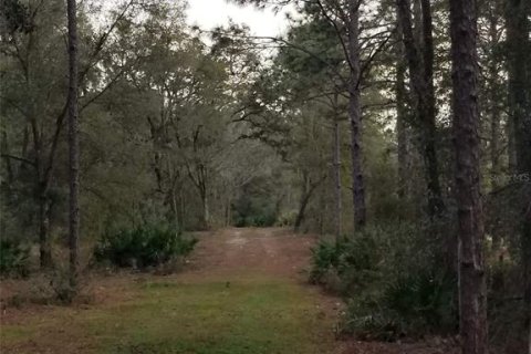 Land in Ocala, Florida № 1832792 - photo 5