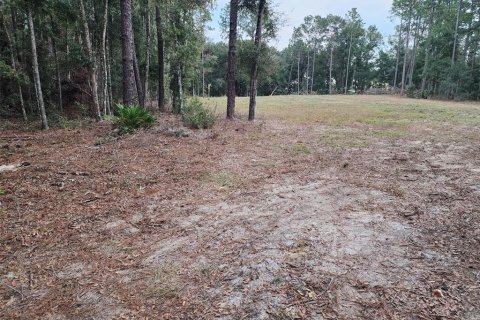 Land in Ocala, Florida № 1832792 - photo 1