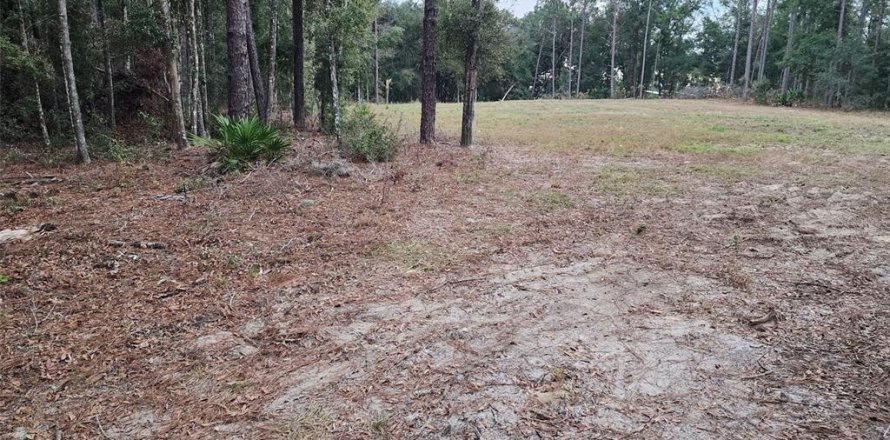 Land in Ocala, Florida № 1832792