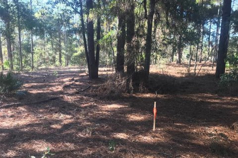 Land in Ocala, Florida № 1832792 - photo 18