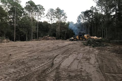 Land in Ocala, Florida № 1832792 - photo 24