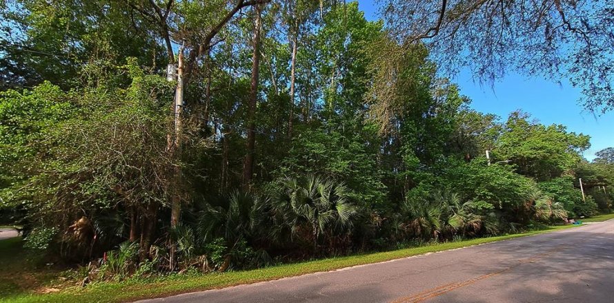 Land in Micanopy, Florida № 216389