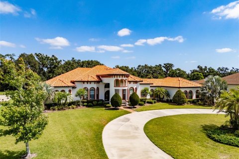 House in Fish Hawk, Florida 4 bedrooms, 394.18 sq.m. № 1669910 - photo 7