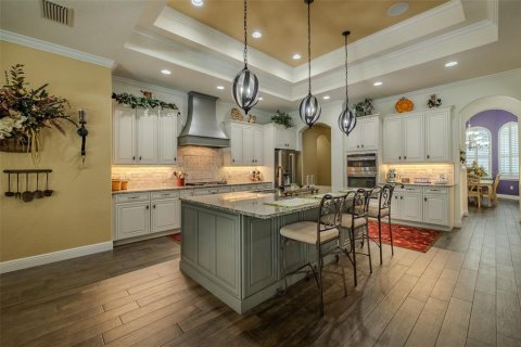 House in Fish Hawk, Florida 4 bedrooms, 394.18 sq.m. № 1669910 - photo 16
