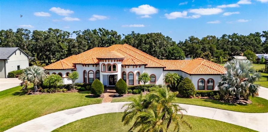 House in Fish Hawk, Florida 4 bedrooms, 394.18 sq.m. № 1669910