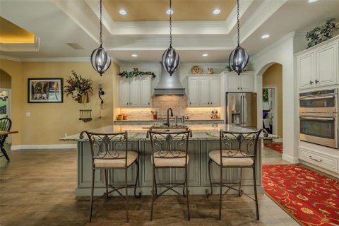 House in Fish Hawk, Florida 4 bedrooms, 394.18 sq.m. № 1669910 - photo 13