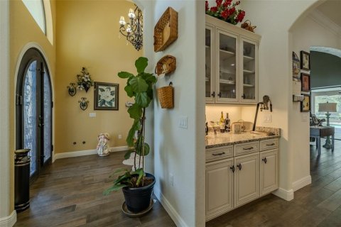 House in Fish Hawk, Florida 4 bedrooms, 394.18 sq.m. № 1669910 - photo 21