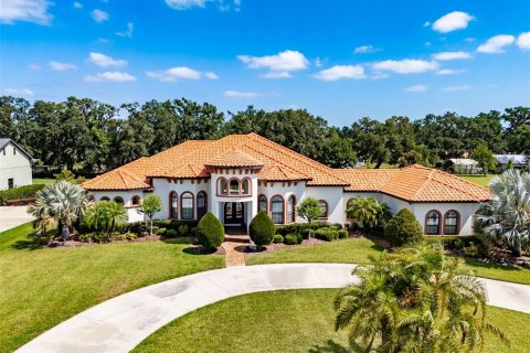 House in Fish Hawk, Florida 4 bedrooms, 394.18 sq.m. № 1669910 - photo 2
