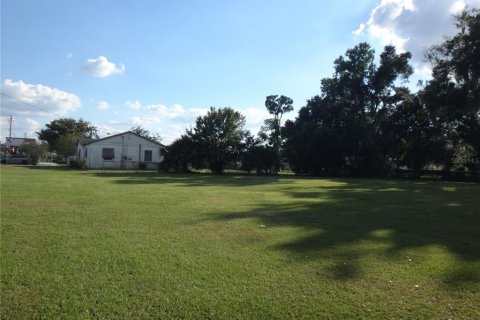 Land in Plant City, Florida № 2391240 - photo 4