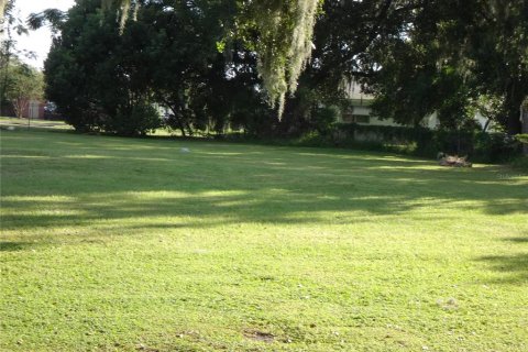 Land in Plant City, Florida № 2391240 - photo 5