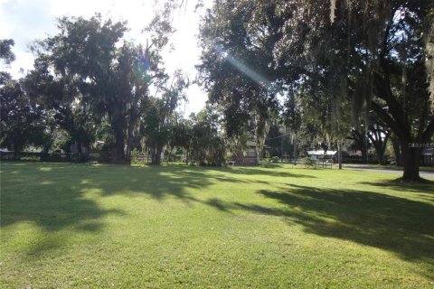 Land in Plant City, Florida № 2391240 - photo 2