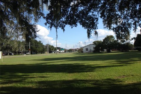 Land in Plant City, Florida № 2391240 - photo 3