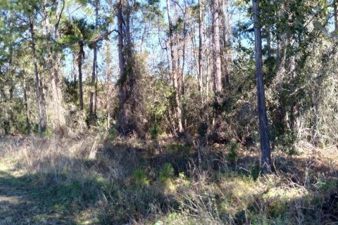 Land in Polk City, Florida № 2216033