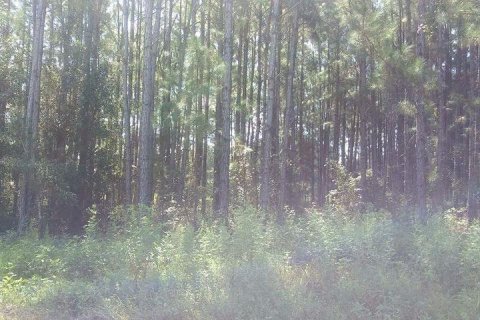 Land in Polk City, Florida № 2216033 - photo 2
