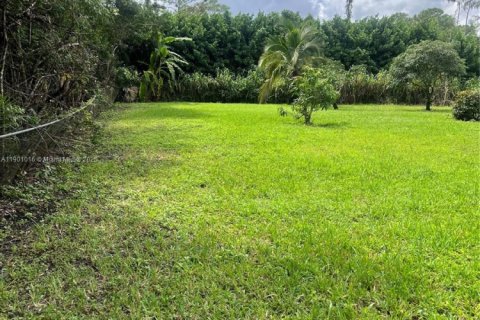 House in Loxahatchee Groves, Florida 4 bedrooms, 198.63 sq.m. № 1963709 - photo 4