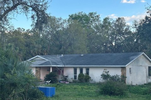 Casa en venta en Valrico, Florida, 4 dormitorios, 217.48 m2 № 1580655 - foto 2