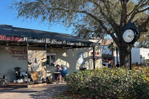 Touwnhouse à vendre à Dunedin, Floride: 3 chambres, 183.02 m2 № 1916147 - photo 27
