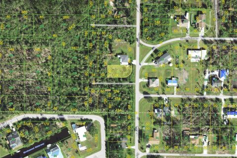 Land in Punta Gorda, Florida № 2164543 - photo 2