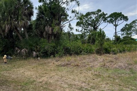 Land in Rotonda, Florida № 2164723 - photo 4
