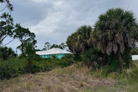 Land in Rotonda, Florida № 2164723 - photo 3