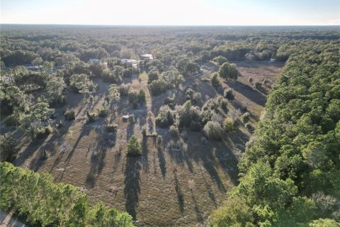 Terrain à vendre à Dunnellon, Floride № 1720466 - photo 6