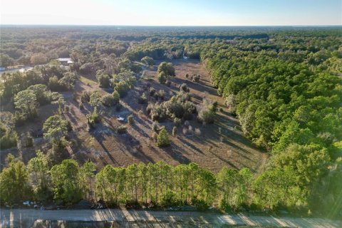 Terrain à vendre à Dunnellon, Floride № 1720466 - photo 7