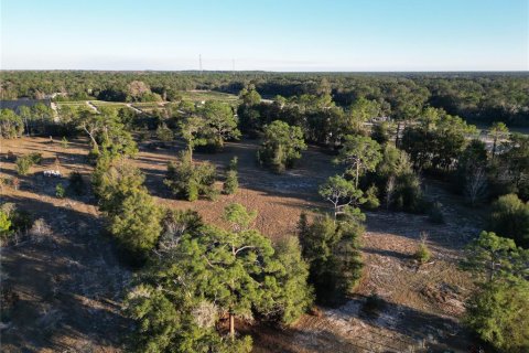Terrain à vendre à Dunnellon, Floride № 1720466 - photo 5