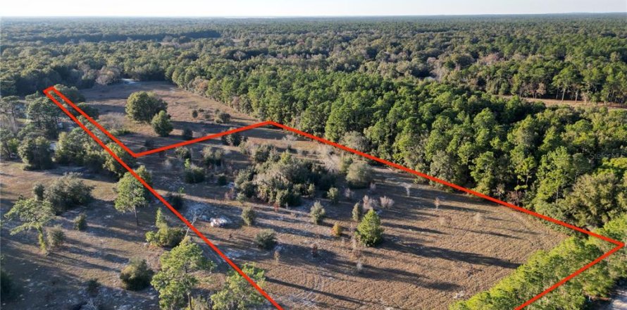 Terrain à Dunnellon, Floride № 1720466