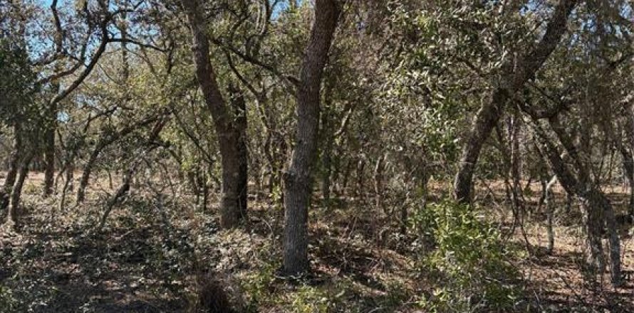 Land in Dunnellon, Florida № 2158989