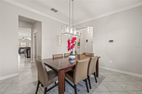 House in Land O' Lakes, Florida 5 bedrooms, 350.52 sq.m. № 1679214 - photo 20