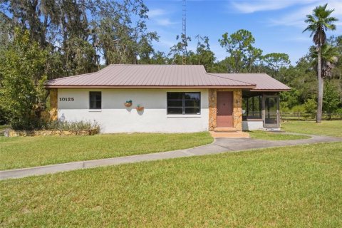 Villa ou maison à vendre à Summerfield, Floride: 3 chambres, 287.44 m2 № 2391255 - photo 2
