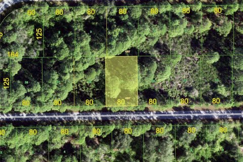 Land in Port Charlotte, Florida № 1386326 - photo 1