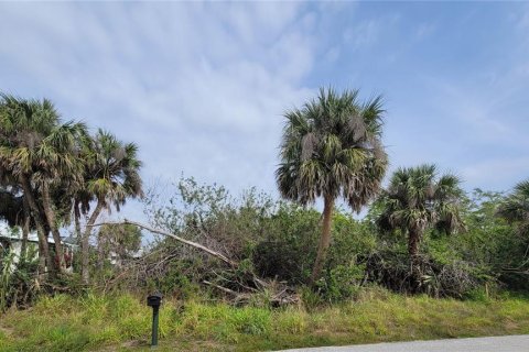 Land in Port Charlotte, Florida № 2299227