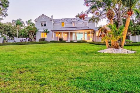 House in Tarpon Springs, Florida 8 bedrooms, 732.63 sq.m. № 1560499 - photo 4