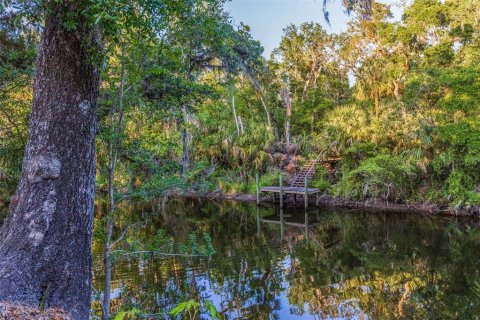 Casa en venta en Riverview, Florida, 5 dormitorios, 276.85 m2 № 1629966 - foto 12