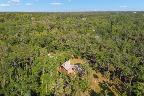 House in Riverview, Florida 5 bedrooms, 276.85 sq.m. № 1629966 - photo 15