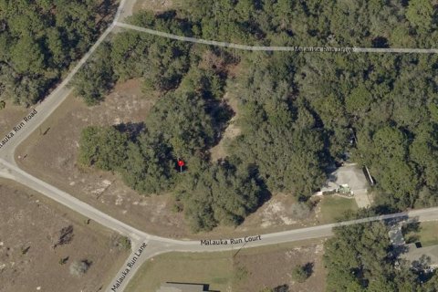 Land in Ocklawaha, Florida № 2163909 - photo 2