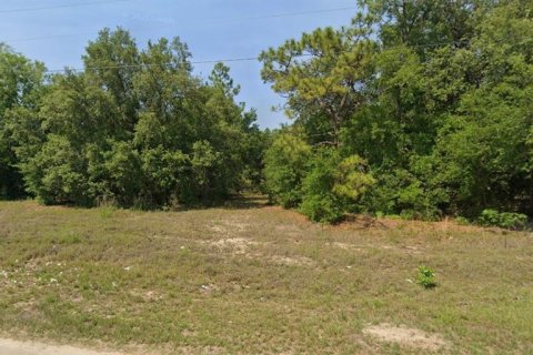 Land in Ocklawaha, Florida № 2163909