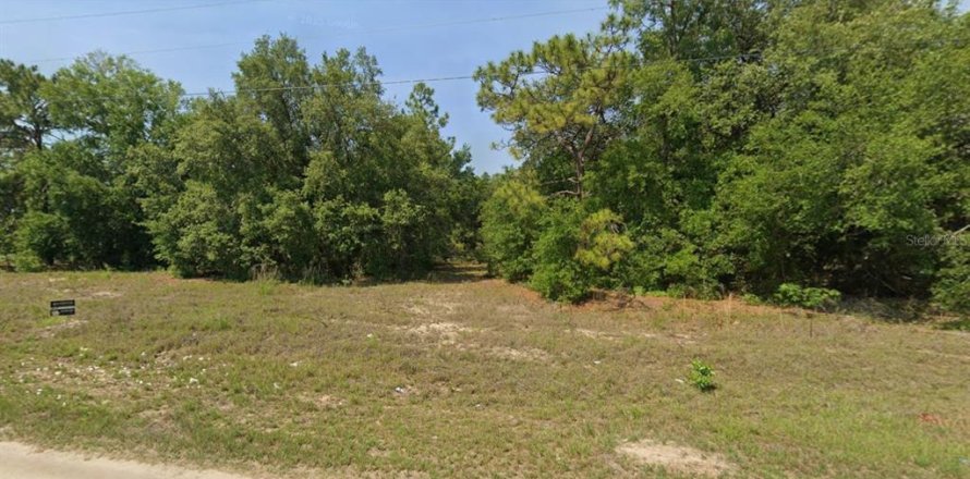 Land in Ocklawaha, Florida № 2163909