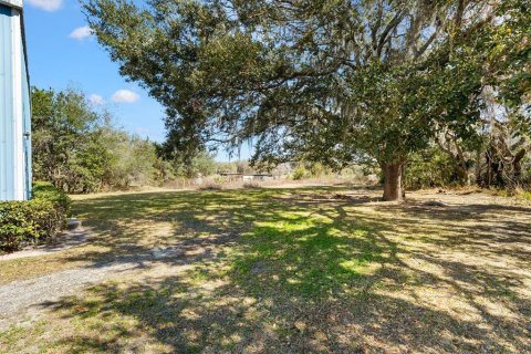 Commercial property in Leesburg, Florida 464.51 sq.m. № 2115353 - photo 4