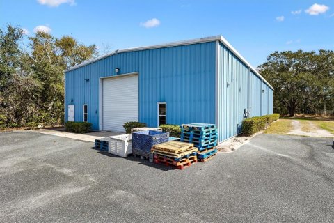 Commercial property in Leesburg, Florida 464.51 sq.m. № 2115353 - photo 6