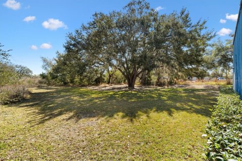Commercial property in Leesburg, Florida 464.51 sq.m. № 2115353 - photo 23