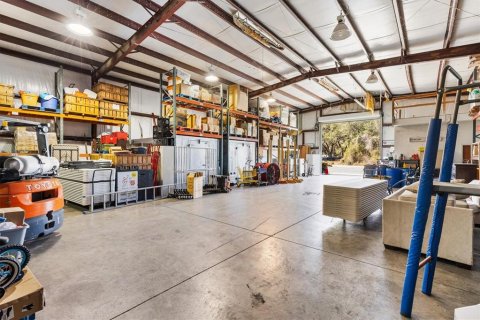 Commercial property in Leesburg, Florida 464.51 sq.m. № 2115353 - photo 20