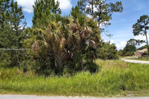 Terreno en venta en Palm Bay, Florida № 1962177 - foto 2