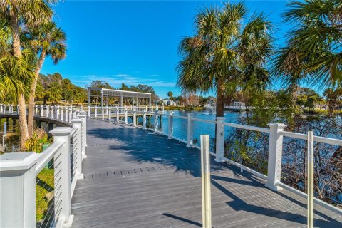 Apartment in New Port Richey, Florida 2 bedrooms, 55.74 sq.m. № 2238896 - photo 13